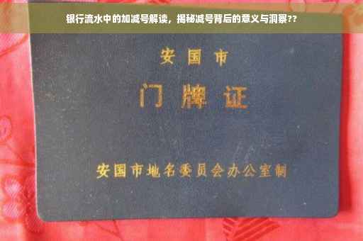 银行流水中的加减号解读，揭秘减号背后的意义与洞察??