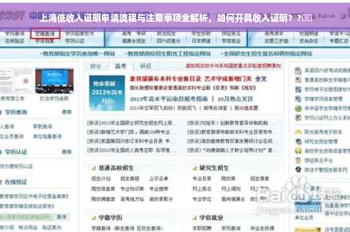 上海低收入证明申请流程与注意事项全解析，如何开具收入证明？?⚡️
