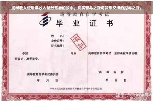 揭秘收入证明年收入整数背后的故事，现实奋斗之路与梦想交织的探寻之路。