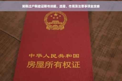 契税过户税收证明书详解，流程、作用及注意事项全攻略