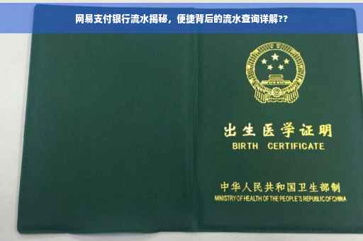 网易支付银行流水揭秘，便捷背后的流水查询详解??