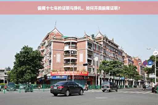 偏瘫十七年的证明与挣扎，如何开具偏瘫证明？
