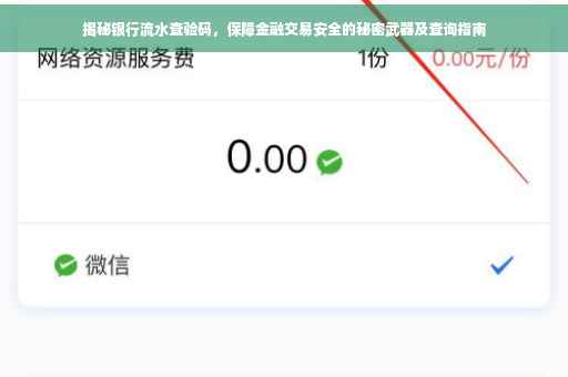 揭秘银行流水查验码，保障金融交易安全的秘密武器及查询指南
