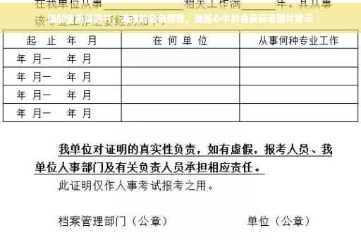 渔船使用证明书，海洋的金色荣誉，渔民心中的自豪标志图片展示