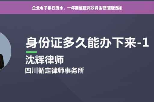 企业电子银行流水，一年期便捷高效资金管理新选择