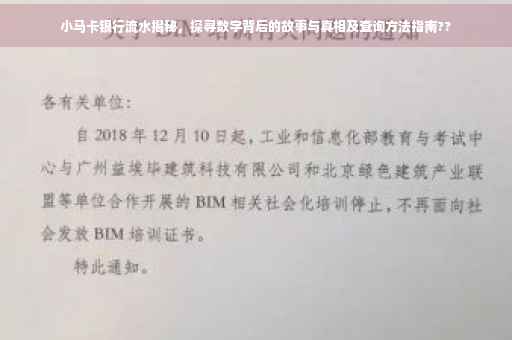 小马卡银行流水揭秘，探寻数字背后的故事与真相及查询方法指南??
