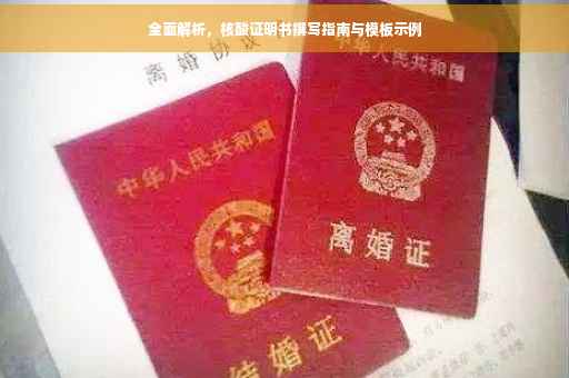 全面解析，核酸证明书撰写指南与模板示例