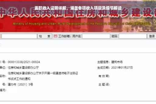 离职收入证明详解，涵盖各项收入项目及细节解读