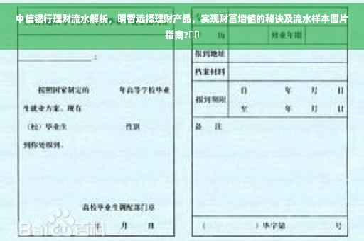 中信银行理财流水解析，明智选择理财产品，实现财富增值的秘诀及流水样本图片指南?⚡️