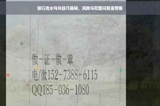 银行流水勾兑技巧揭秘，风险与犯罪问题需警惕
