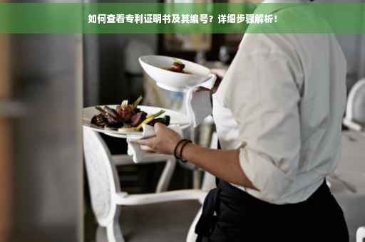 如何查看专利证明书及其编号？详细步骤解析！