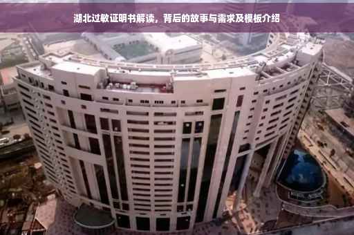 湖北过敏证明书解读，背后的故事与需求及模板介绍