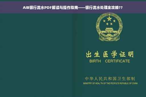 AIB银行流水PDF解读与操作指南——银行流水处理全攻略??