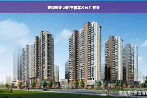 宠物鉴定证明书样本及图片参考