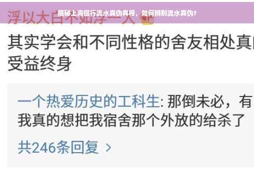 揭秘上海银行流水真伪真相，如何辨别流水真伪？
