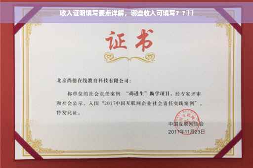 收入证明填写要点详解，哪些收入可填写？?⚡️