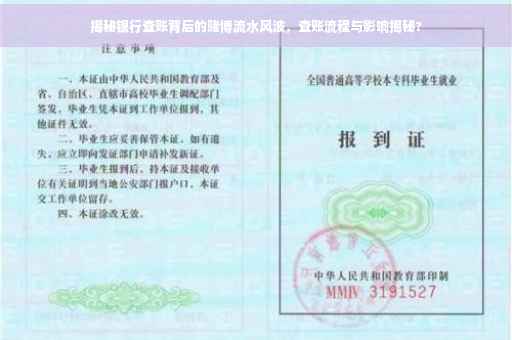 揭秘银行查账背后的赌博流水风波，查账流程与影响揭秘?