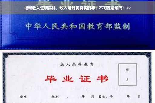 揭秘收入证明真相，收入是如何真实到手，不可随意填写！??