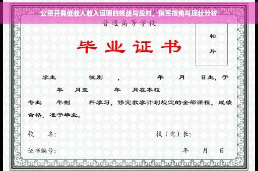 公司开具低收入收入证明的挑战与应对，撰写指南与现状分析