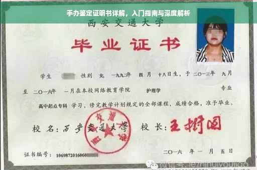 手办鉴定证明书详解，入门指南与深度解析