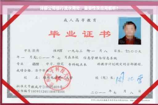 详解公司银行流水用处，重要性及应用解析?