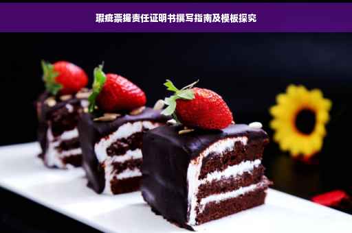瑕疵票据责任证明书撰写指南及模板探究