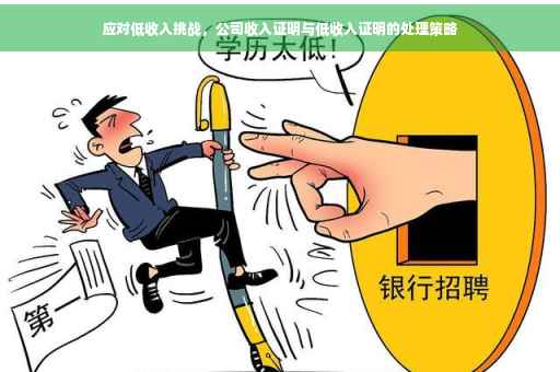 应对低收入挑战，公司收入证明与低收入证明的处理策略