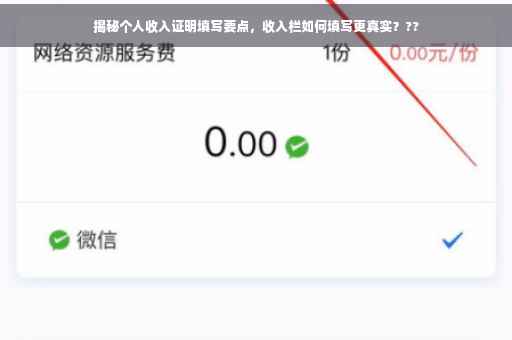 揭秘个人收入证明填写要点，收入栏如何填写更真实？??