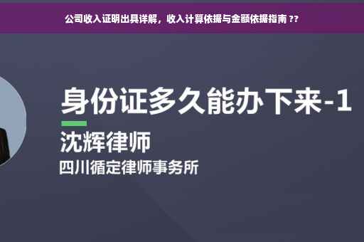 公司收入证明出具详解，收入计算依据与金额依据指南 ??