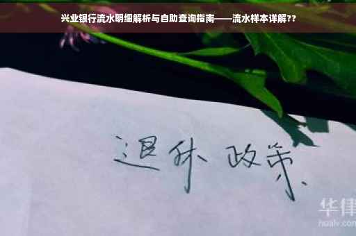 兴业银行流水明细解析与自助查询指南——流水样本详解??