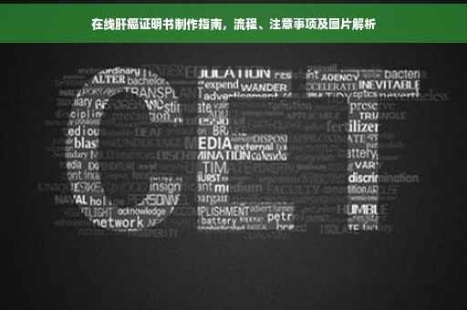 在线肝癌证明书制作指南，流程、注意事项及图片解析