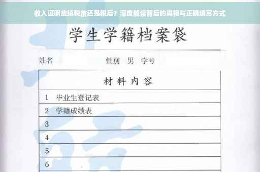 收入证明应填税前还是税后？深度解读背后的真相与正确填写方式