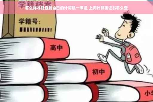 怎么样才能查到自己的计算机一级证,上海计算机证书怎么查