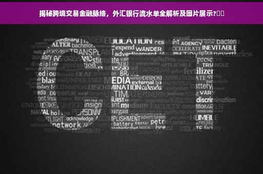 揭秘跨境交易金融脉络，外汇银行流水单全解析及图片展示?⚡️