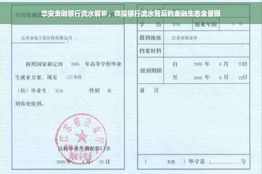 华安金融银行流水解析，窥探银行流水背后的金融生态全景图
