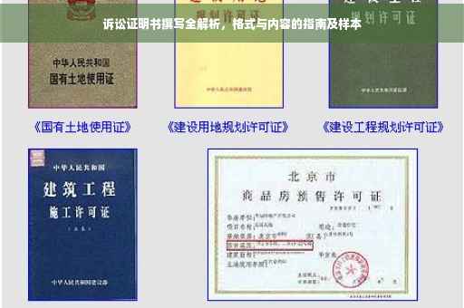 诉讼证明书撰写全解析，格式与内容的指南及样本