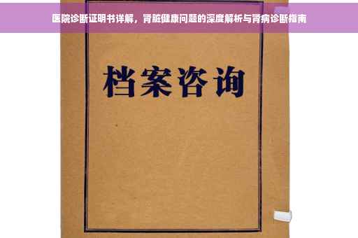 医院诊断证明书详解，肾脏健康问题的深度解析与肾病诊断指南