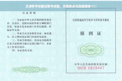天津怀孕诊断证明书详解，开具地点与流程揭秘 ?⚡️