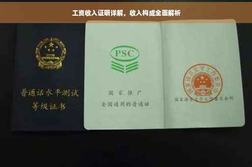工资收入证明详解，收入构成全面解析