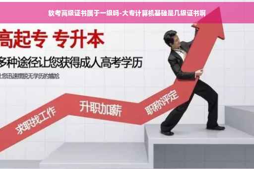 软考高级证书属于一级吗-大专计算机基础是几级证书啊