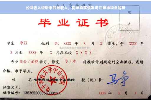 公司收入证明中的月收入，揭示真实情况与注意事项全解析