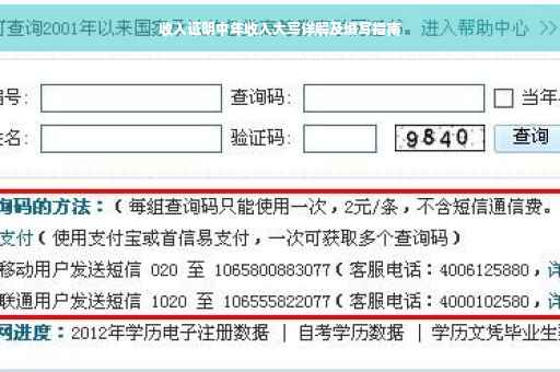 收入证明中年收入大写详解及填写指南