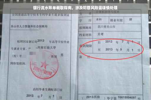银行流水账单截取指南，涉及犯罪风险需谨慎处理