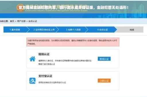 警方揭秘金融犯罪内幕，银行流水成关键证据，金融犯罪无处遁形！