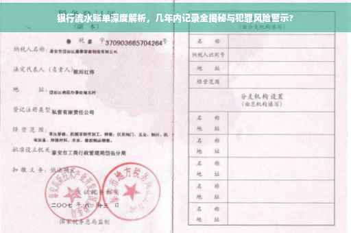 银行流水账单深度解析，几年内记录全揭秘与犯罪风险警示?