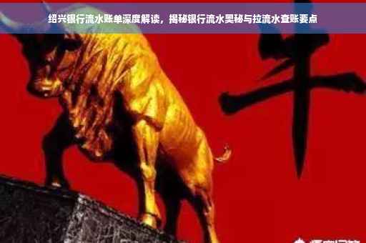 绍兴银行流水账单深度解读，揭秘银行流水奥秘与拉流水查账要点