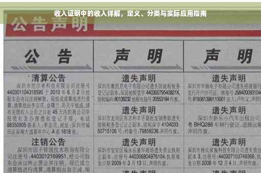 收入证明中的收入详解，定义、分类与实际应用指南