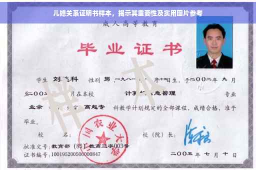 儿媳关系证明书样本，揭示其重要性及实用图片参考