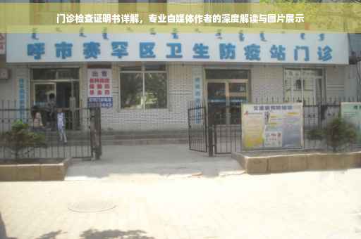 门诊检查证明书详解，专业自媒体作者的深度解读与图片展示