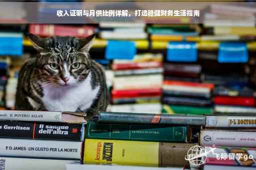 收入证明与月供比例详解，打造稳健财务生活指南